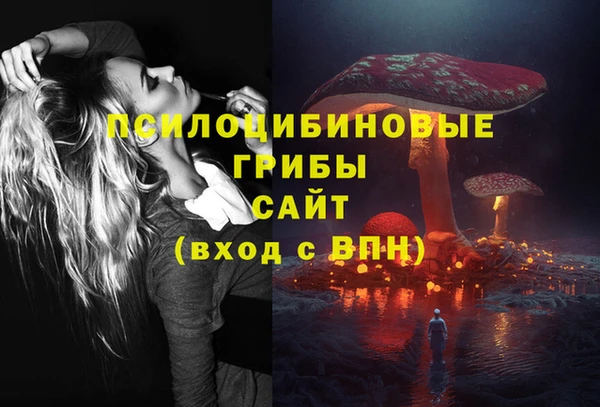 мяу мяу мука Гусев
